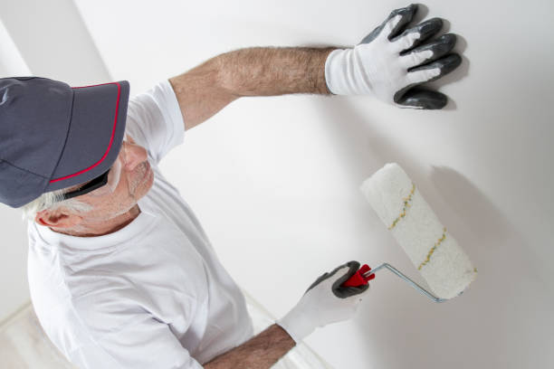  New Milford, NJ Mold Removal Pros