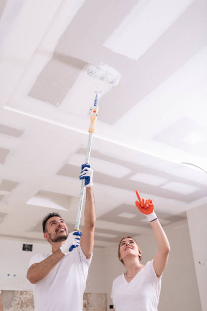 Best Industrial Mold Remediation  in New Milford, NJ