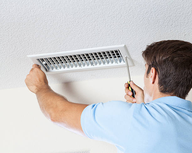 Best Mold Remediation for Healthcare Facilities  in New Milford, NJ